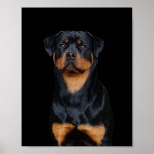 Rottweiler poster