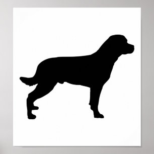 Rottweiler Poster