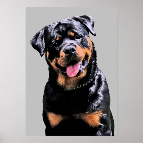 Rottweiler Paintings Posters, Prints & Poster Printing | Zazzle CA