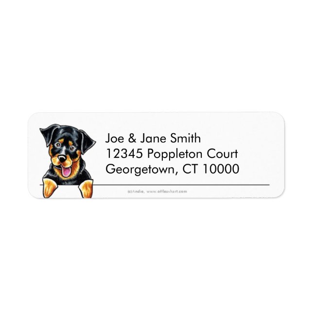 Rottweiler propre et simple (Devant)
