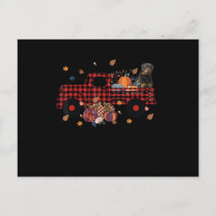 Rottweiler Pumpkin Truck Thanksgiving Halloween Holiday Postcard