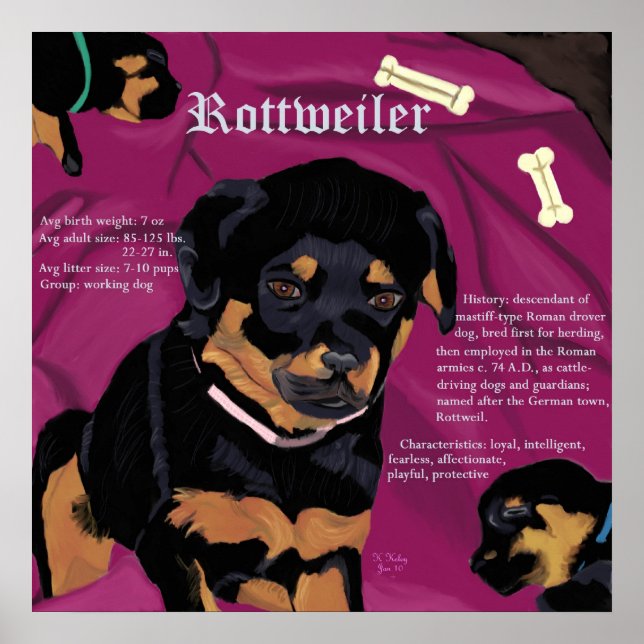 Rottweiler Pup poster (Front)