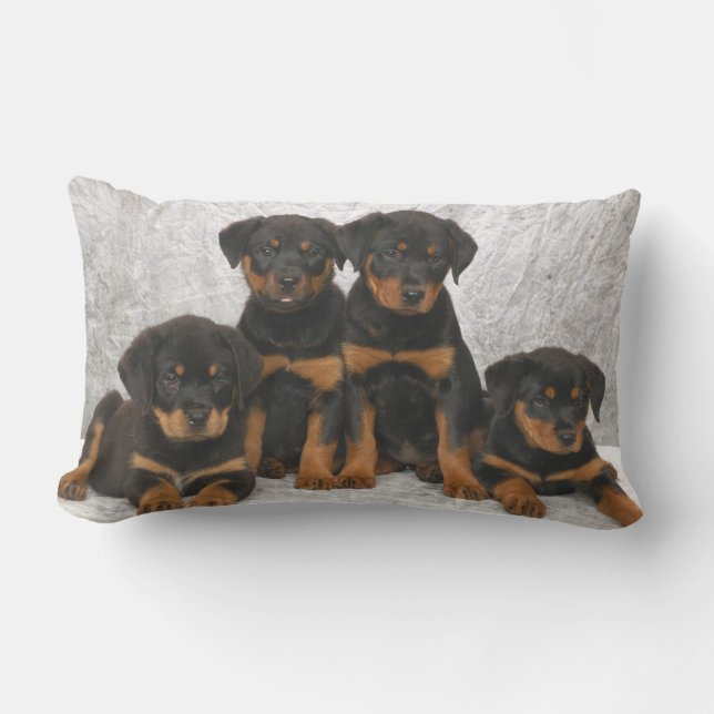Rottweiler puppies lumbar pillow (Front)