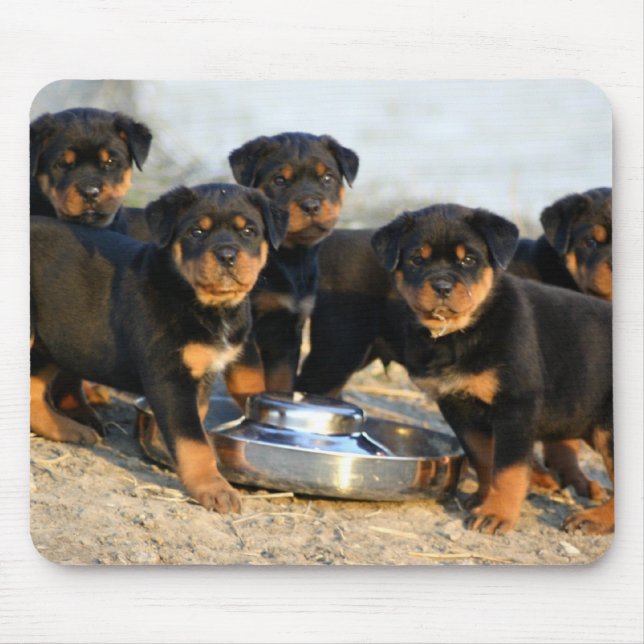 rottweiler puppies mouse pad (Front)