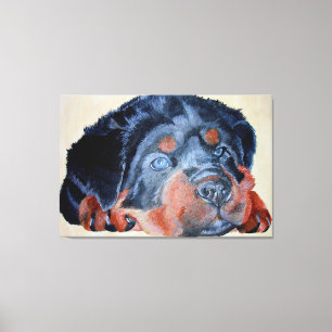 Rottweiler Puppy Artistic Pet Portrait Canvas Print