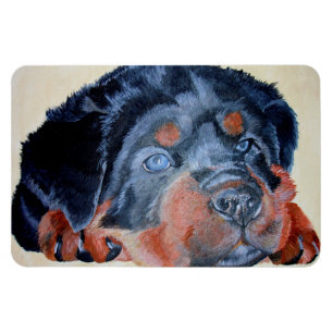 Rottweiler Puppy Artistic Pet Portrait Magnet