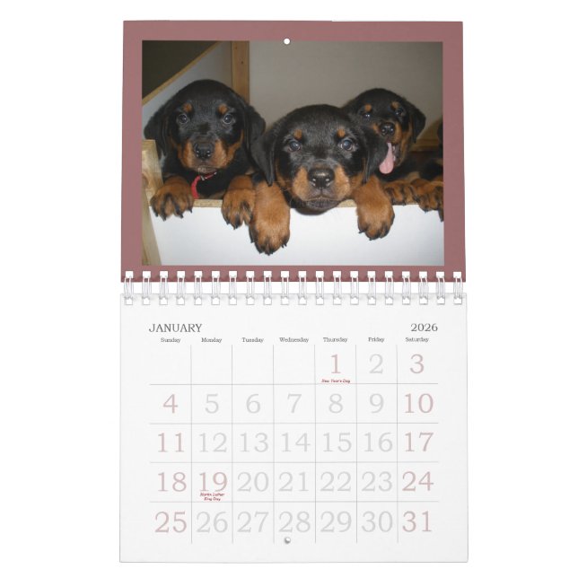 Rottweiler Puppy Calendar (Jan 2026)