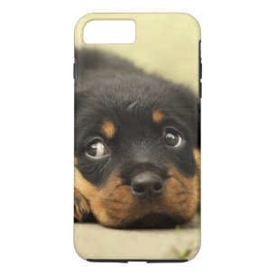 Rottweiler puppy dog curious Case-Mate iPhone case
