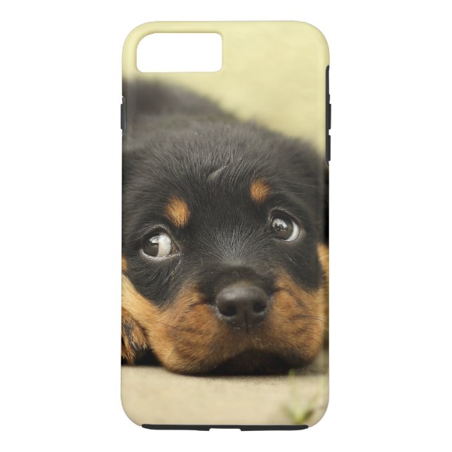Rottweiler puppy dog curious Case-Mate iPhone case (Back)