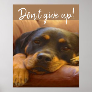 Rottweiler Puppy Don’t Give Up Poster