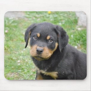 Rottweiler Puppy Mouse Pad