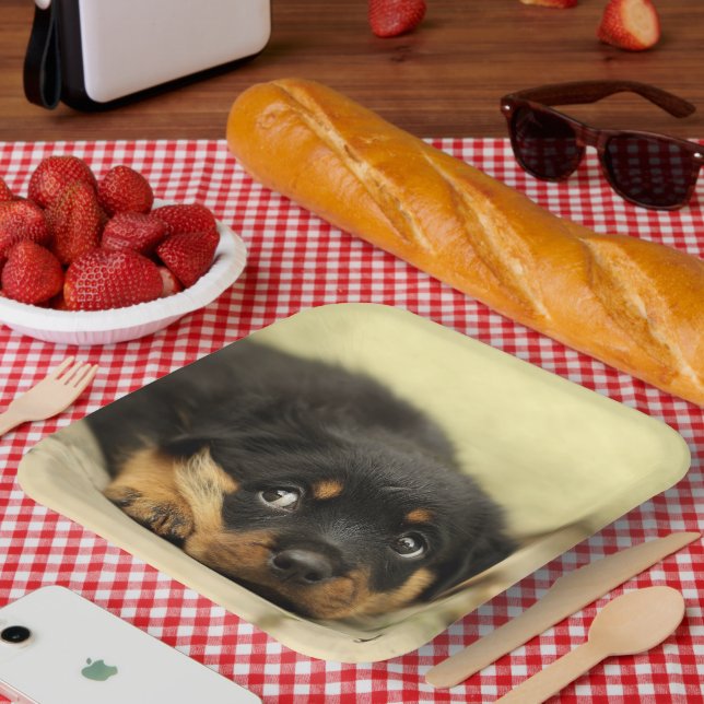Rottweiler Puppy Paper Plate (Picnic)