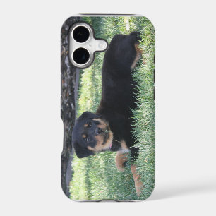 Rottweiler Puppy  phone case
