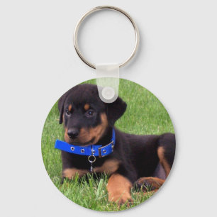 rottweiler pups. keychain