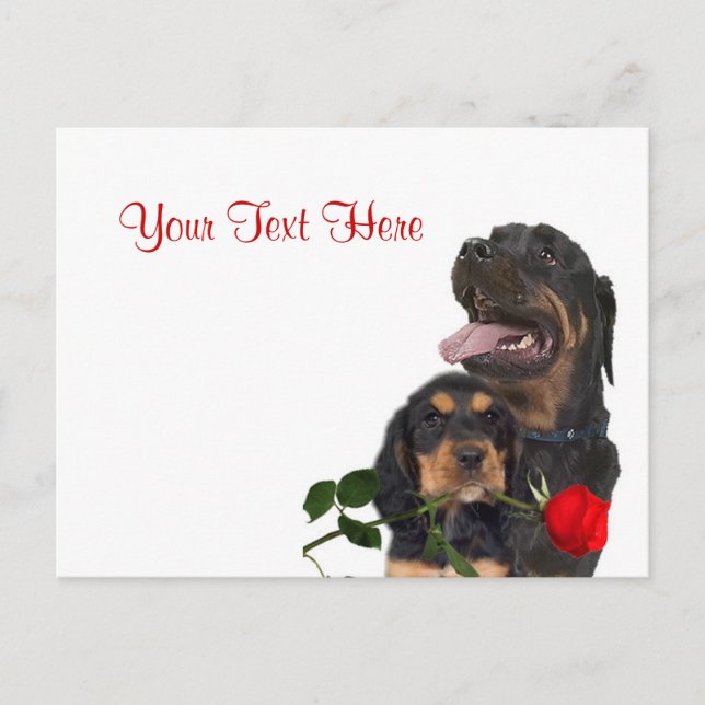 Rottweiler  Red Rose Valentine Design Holiday Postcard (Front)