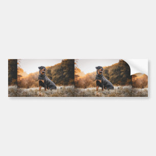 rottweiler sitting in frosty grass bumper sticker