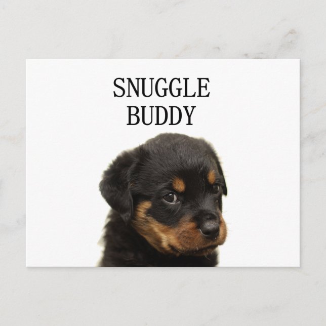 rottweiler snuggle buddy puppy postcard (Front)