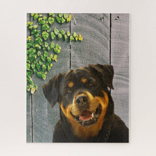Rottweiler souriant puzzle puzzle