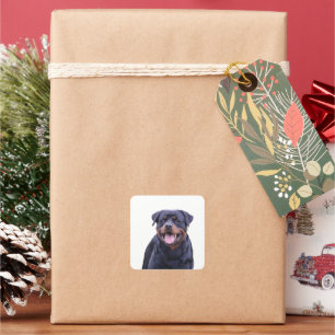 Rottweiler Square Sticker