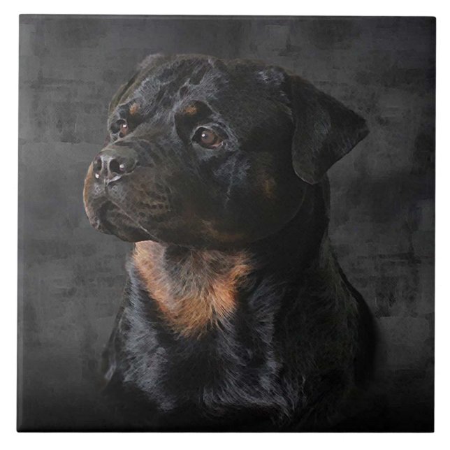 Rottweiler Tile (Front)