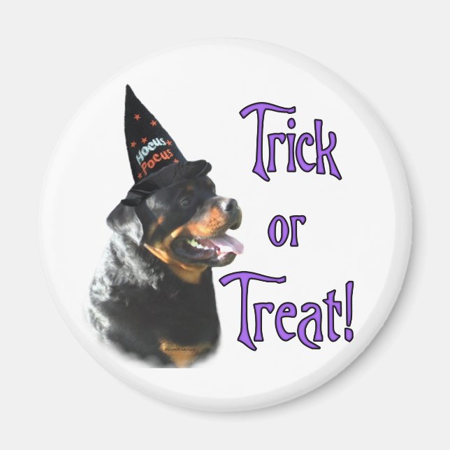 Rottweiler Trick Magnet (Front)