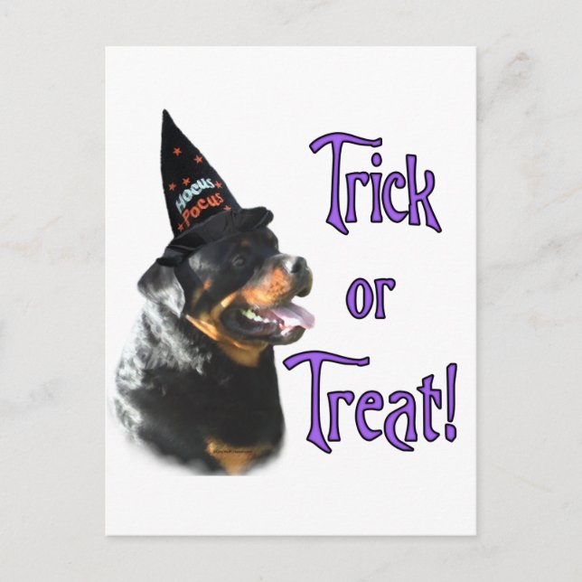 Rottweiler Trick Postcard (Front)