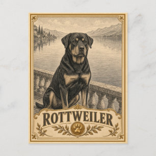Rottweiler, Vintage Heritage Dog Postcard