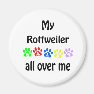 Rottweiler Walks Design Magnet
