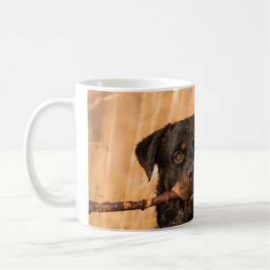 Rottweiler With A Stick Coffee Mug
