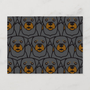 Rottweilers Postcard