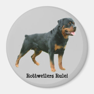 Rottweilers Rule Magnet