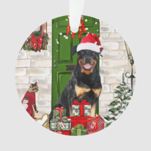 Rotweiler Chien Noël
