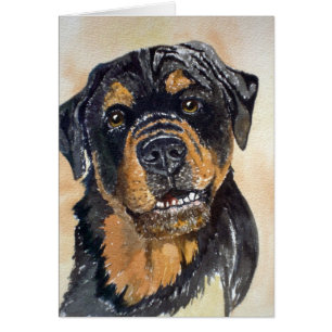 Rotweiler Watercolor Portrait