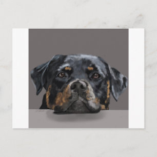 Rotweiller Postcard