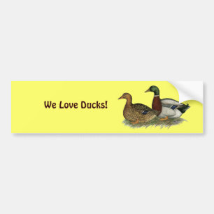 Rouen Ducks Bumper Sticker