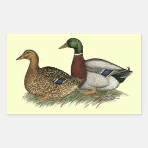 Rouen Ducks Sticker