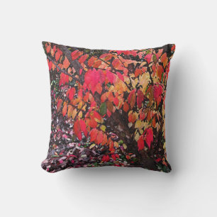 Rouge Automne Brûler Bush Jardin Coussin extérieur
