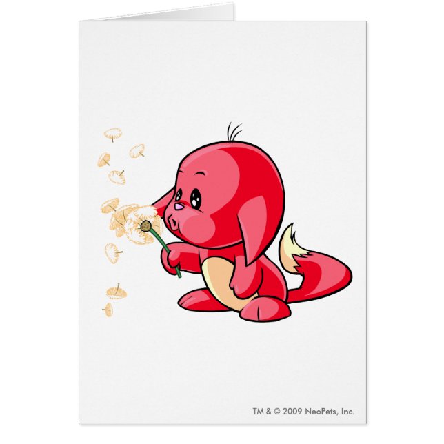 Rouge de Kacheek (Devant)