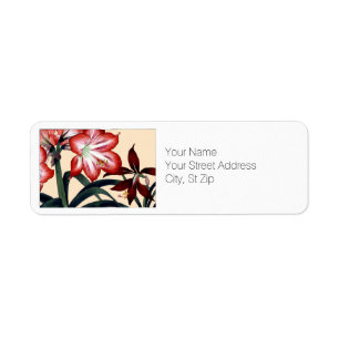 Rouge et blanc Amaryllis Fleurs Adresse de retour