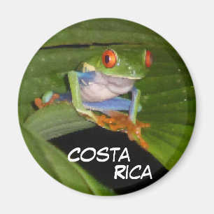 Rouge Eyed Gaudí Frog Aimant personnalisable