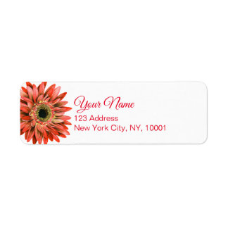 Rouge Gerber Daisy Aquarelle Calligraphie Retour