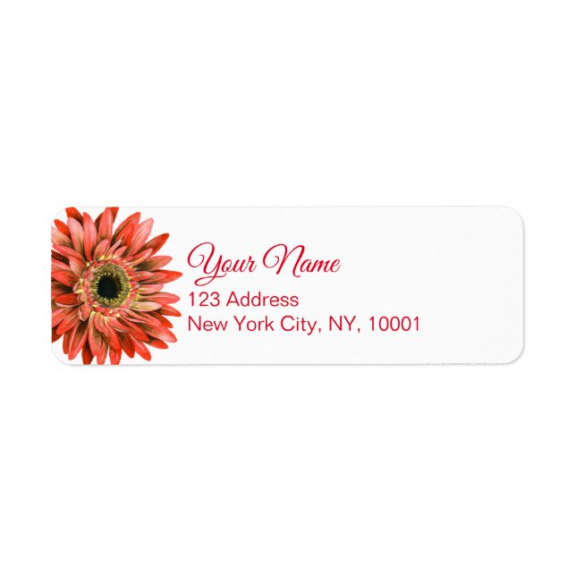 Rouge Gerber Daisy Aquarelle Calligraphie Retour (Devant)