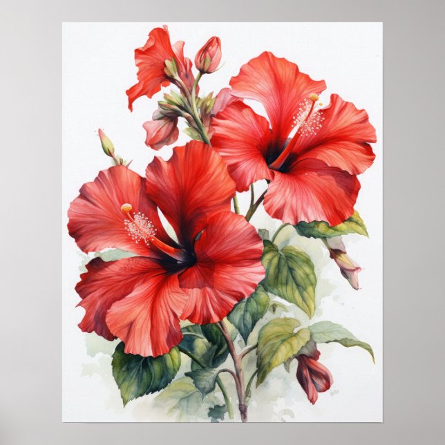 Rouge Hibiscus Fleurs Art Imprimer Poster (Devant)