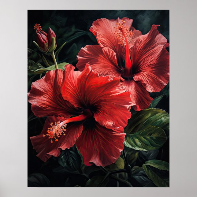 Rouge Hibiscus Fleurs Art Imprimer Poster (Devant)