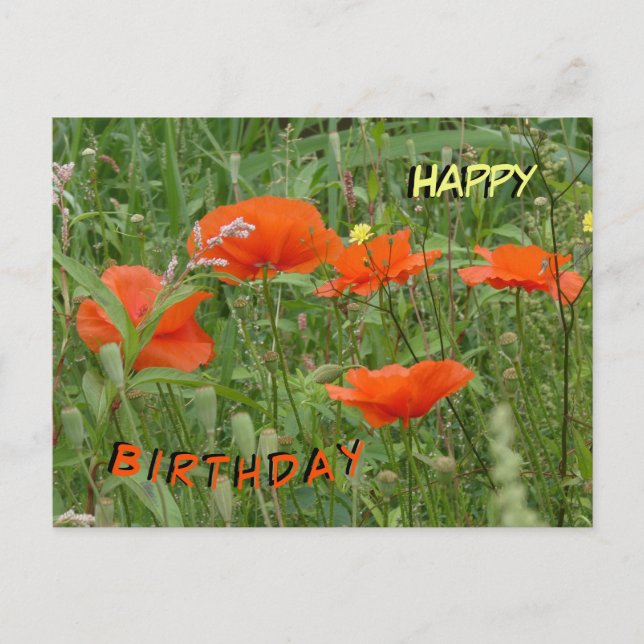 Rouge Poppies Fleurs sauvages Bonne Carte postale  (Devant)