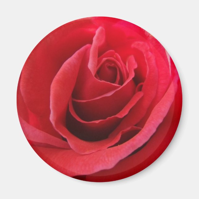 Rouge Rose Magnet (Devant)