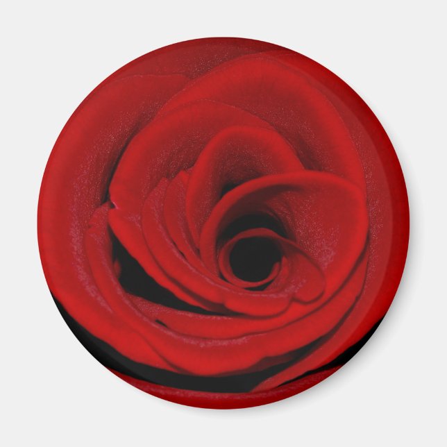 Rouge Rose Magnet (Devant)