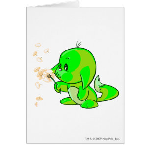 Rougeoyer de Kacheek