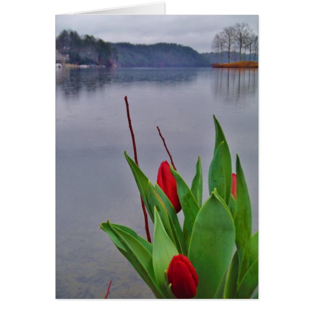 Rouges Tulipes Blue Lake Arrowhead (Devant)