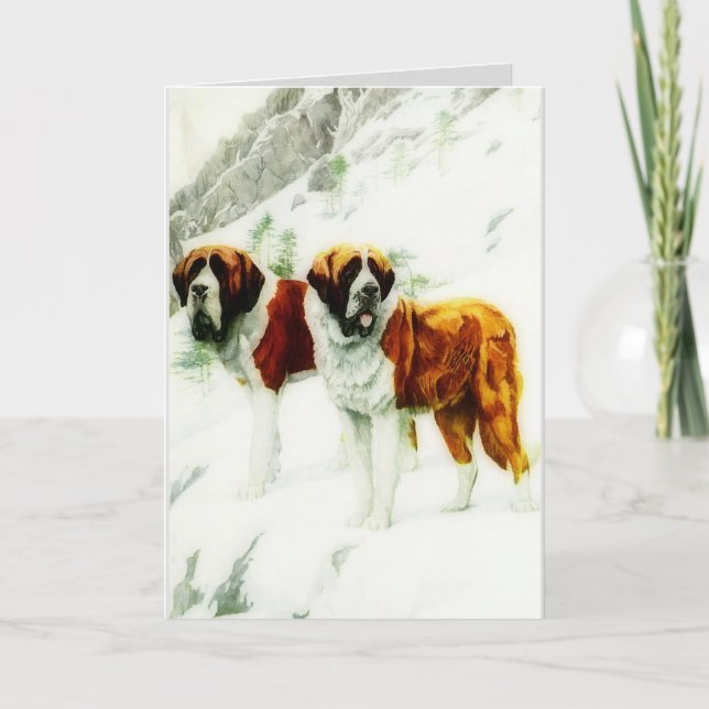 rough and smooth St Bernard - painting Card (Front)